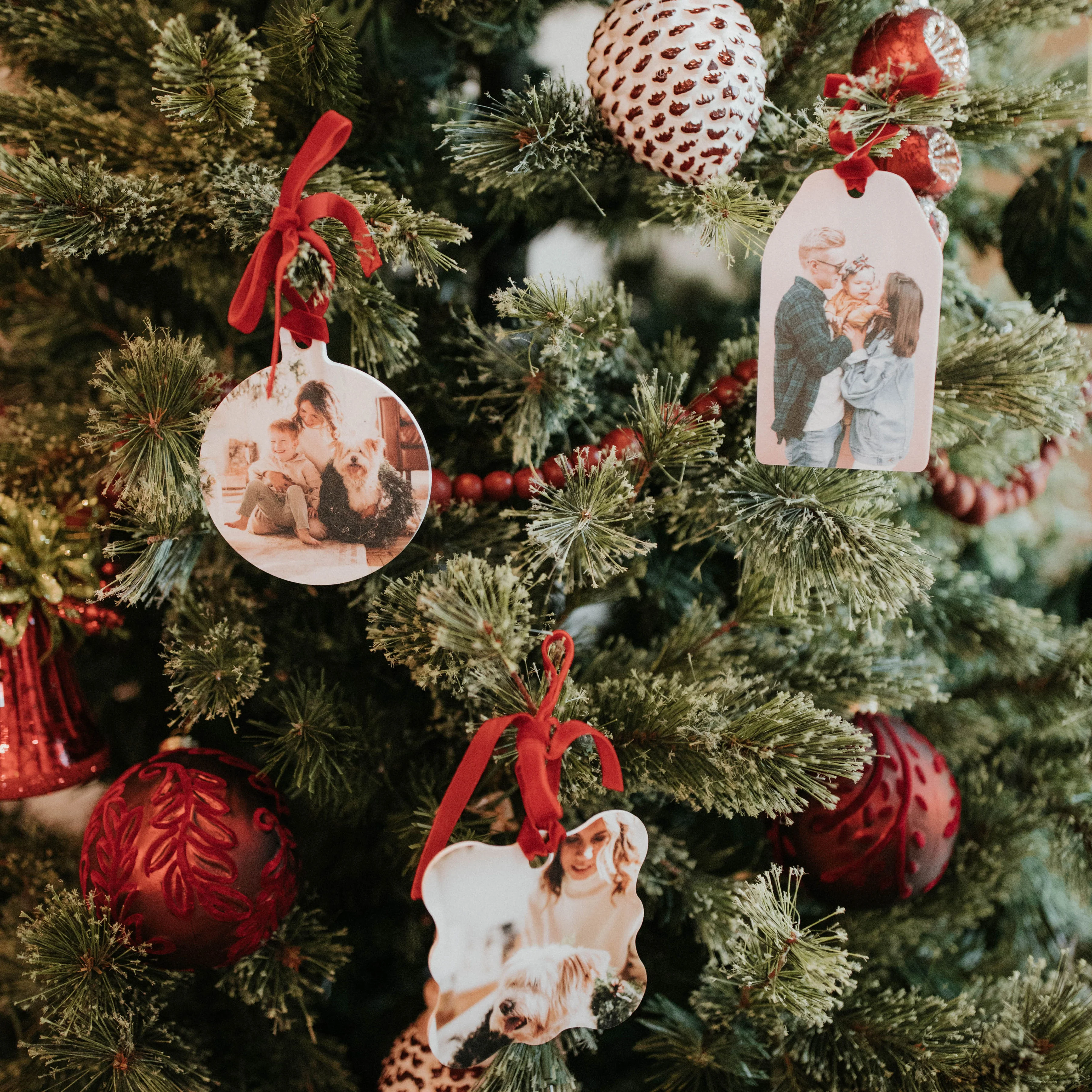 Tree Ornament - Image 4